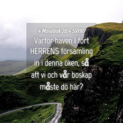 Picture 04 - 4 Mosebok 20:4 SV1917 - Varför haven I fört HERRENS församling in i - Bible Verse Picture