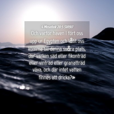 Picture 04 - 4 Mosebok 20:5 SV1917 - Och varför haven I fört oss upp ur Egypten och - Bible Verse Picture
