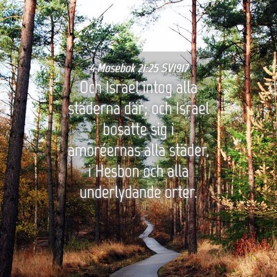 Picture 04 - 4 Mosebok 21:25 SV1917 - Och Israel intog alla städerna där; och Israel - Bible Verse Picture