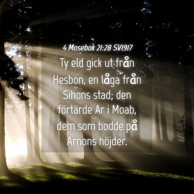 Picture 04 - 4 Mosebok 21:28 SV1917 - Ty eld gick ut från Hesbon, en låga från - Bible Verse Picture