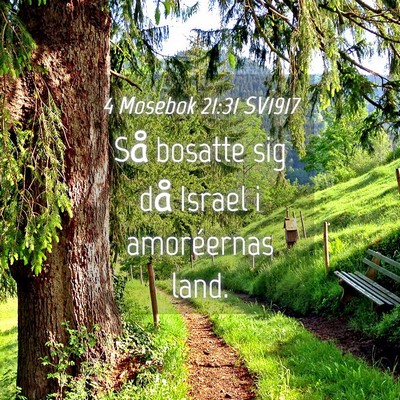 Picture 04 - 4 Mosebok 21:31 SV1917 - Så bosatte sig då Israel i amoréernas - Bible Verse Picture