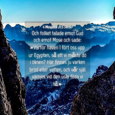 Picture 04 - 4 Mosebok 21:5 SV1917 - Och folket talade emot Gud och emot Mose och - Bible Verse Picture