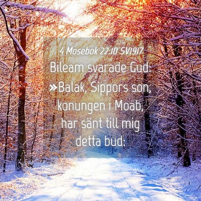 Picture 04 - 4 Mosebok 22:10 SV1917 - Bileam svarade Gud: »Balak, Sippors son, - Bible Verse Picture