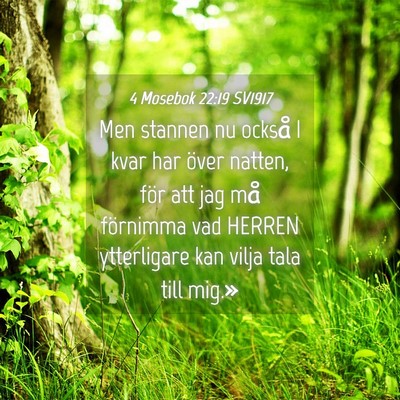 Picture 04 - 4 Mosebok 22:19 SV1917 - Men stannen nu också I kvar har över natten, - Bible Verse Picture