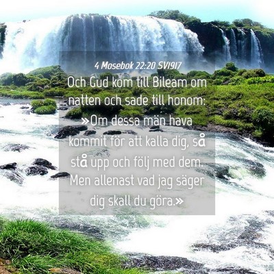 Picture 04 - 4 Mosebok 22:20 SV1917 - Och Gud kom till Bileam om natten och sade till - Bible Verse Picture