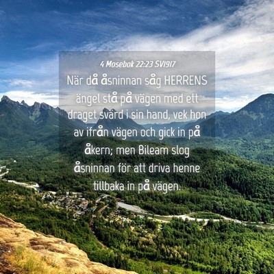 Picture 04 - 4 Mosebok 22:23 SV1917 - När då åsninnan såg HERRENS ängel stå på - Bible Verse Picture