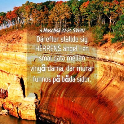 Picture 04 - 4 Mosebok 22:24 SV1917 - Därefter ställde sig HERRENS ängel i en smal - Bible Verse Picture