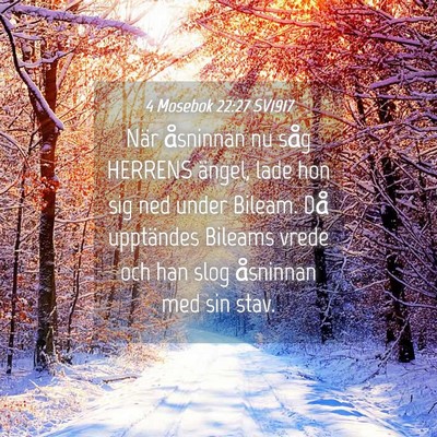 Picture 04 - 4 Mosebok 22:27 SV1917 - När åsninnan nu såg HERRENS ängel, lade hon - Bible Verse Picture