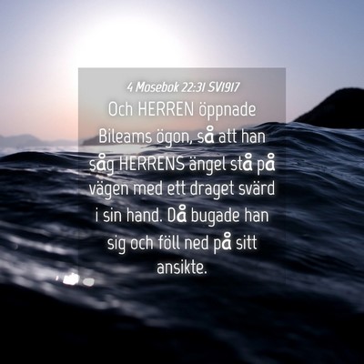 Picture 04 - 4 Mosebok 22:31 SV1917 - Och HERREN öppnade Bileams ögon, så att han - Bible Verse Picture