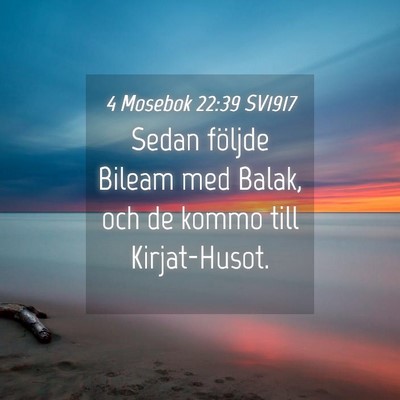 Picture 04 - 4 Mosebok 22:39 SV1917 - Sedan följde Bileam med Balak, och de kommo till - Bible Verse Picture