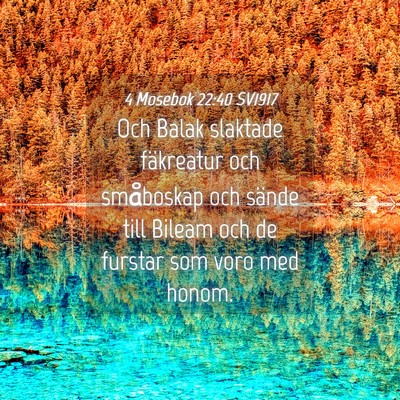 Picture 04 - 4 Mosebok 22:40 SV1917 - Och Balak slaktade fäkreatur och småboskap och - Bible Verse Picture