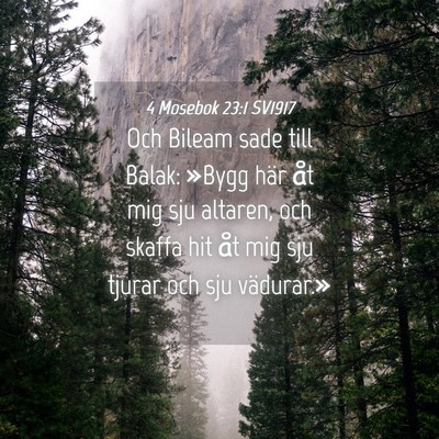 Picture 04 - 4 Mosebok 23:1 SV1917 - Och Bileam sade till Balak: »Bygg här åt mig - Bible Verse Picture