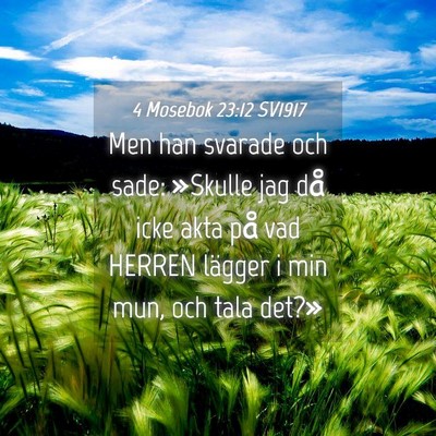 Picture 04 - 4 Mosebok 23:12 SV1917 - Men han svarade och sade: »Skulle jag då icke - Bible Verse Picture