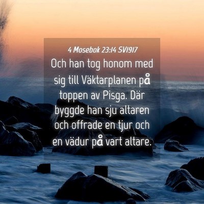 Picture 04 - 4 Mosebok 23:14 SV1917 - Och han tog honom med sig till Väktarplanen på - Bible Verse Picture