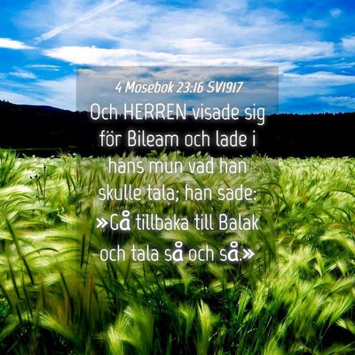 Picture 04 - 4 Mosebok 23:16 SV1917 - Och HERREN visade sig för Bileam och lade i hans - Bible Verse Picture