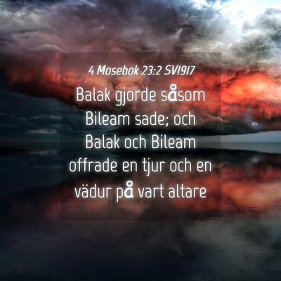 Picture 04 - 4 Mosebok 23:2 SV1917 - Balak gjorde såsom Bileam sade; och Balak och - Bible Verse Picture