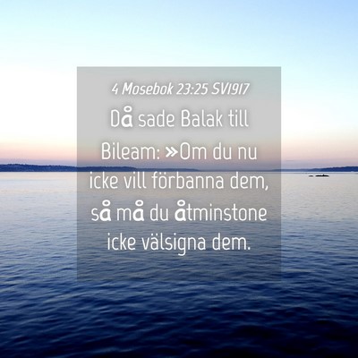 Picture 04 - 4 Mosebok 23:25 SV1917 - Då sade Balak till Bileam: »Om du nu icke vill - Bible Verse Picture