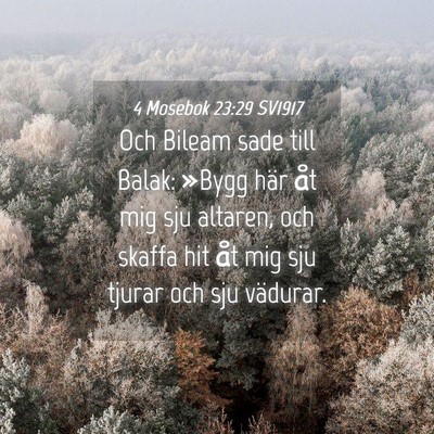 Picture 04 - 4 Mosebok 23:29 SV1917 - Och Bileam sade till Balak: »Bygg här åt mig - Bible Verse Picture