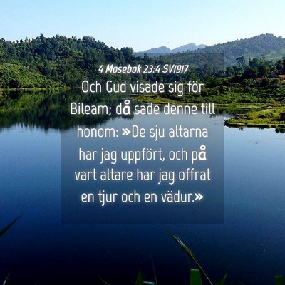 Picture 04 - 4 Mosebok 23:4 SV1917 - Och Gud visade sig för Bileam; då sade denne - Bible Verse Picture