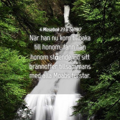 Picture 04 - 4 Mosebok 23:6 SV1917 - När han nu kom tillbaka till honom, fann han - Bible Verse Picture