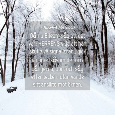 Picture 04 - 4 Mosebok 24:1 SV1917 - Då nu Bileam såg att det var: HERRENS vilja att - Bible Verse Picture