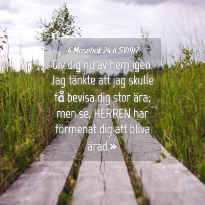 Picture 04 - 4 Mosebok 24:11 SV1917 - Giv dig nu av hem igen. Jag tänkte att jag - Bible Verse Picture