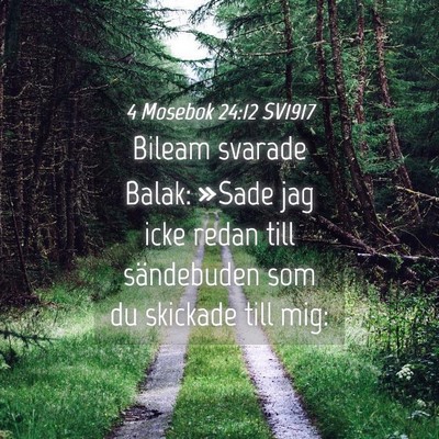 Picture 04 - 4 Mosebok 24:12 SV1917 - Bileam svarade Balak: »Sade jag icke redan till - Bible Verse Picture