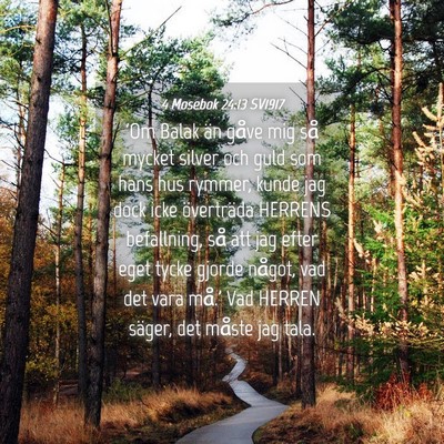 Picture 04 - 4 Mosebok 24:13 SV1917 - 'Om Balak än gåve mig så mycket silver och - Bible Verse Picture