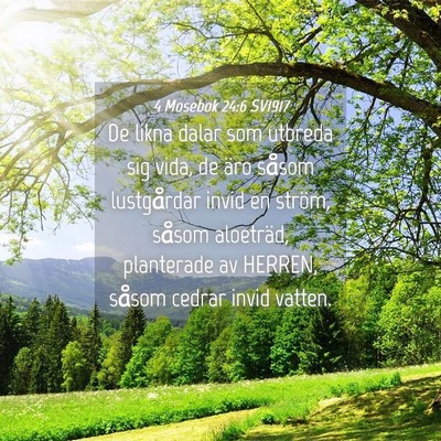 Picture 04 - 4 Mosebok 24:6 SV1917 - De likna dalar som utbreda sig vida, de äro - Bible Verse Picture