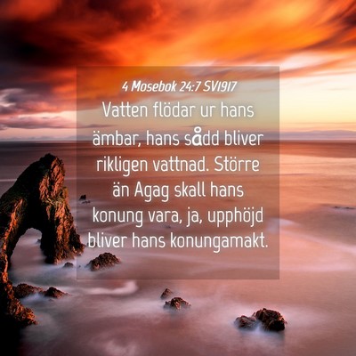 Picture 04 - 4 Mosebok 24:7 SV1917 - Vatten flödar ur hans ämbar, hans sådd bliver - Bible Verse Picture