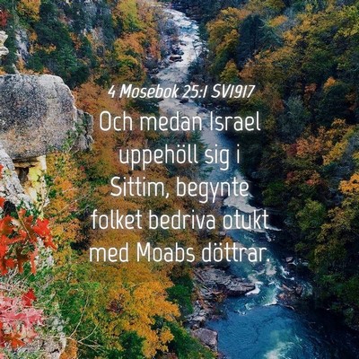 Picture 04 - 4 Mosebok 25:1 SV1917 - Och medan Israel uppehöll sig i Sittim, begynte - Bible Verse Picture
