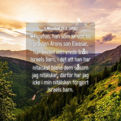 Picture 04 - 4 Mosebok 25:11 SV1917 - »Pinehas, han som är son till prästen Arons - Bible Verse Picture