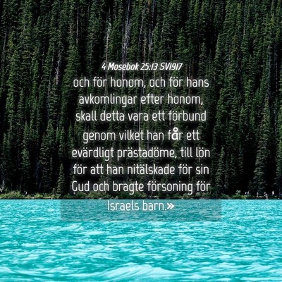 Picture 04 - 4 Mosebok 25:13 SV1917 - och för honom, och för hans avkomlingar efter - Bible Verse Picture