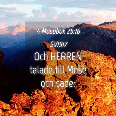 Picture 04 - 4 Mosebok 25:16 SV1917 - Och HERREN talade till Mose och - Bible Verse Picture