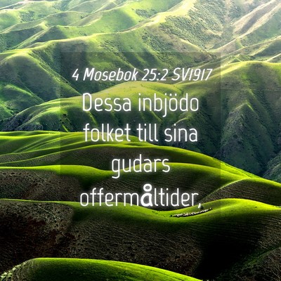 Picture 04 - 4 Mosebok 25:2 SV1917 - Dessa inbjödo folket till sina gudars - Bible Verse Picture
