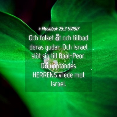 Picture 04 - 4 Mosebok 25:3 SV1917 - Och folket åt och tillbad deras gudar. Och - Bible Verse Picture