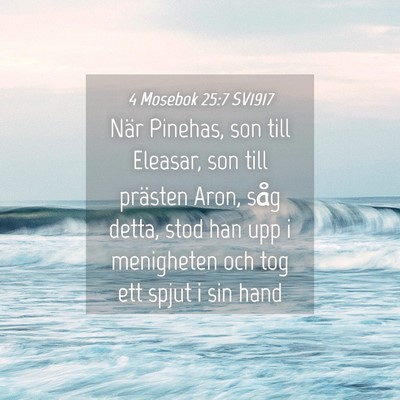 Picture 04 - 4 Mosebok 25:7 SV1917 - När Pinehas, son till Eleasar, son till prästen - Bible Verse Picture