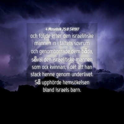 Picture 04 - 4 Mosebok 25:8 SV1917 - och följde efter den israelitiske mannen in i - Bible Verse Picture