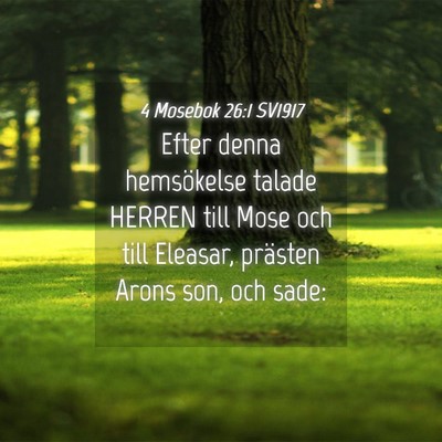 Picture 04 - 4 Mosebok 26:1 SV1917 - Efter denna hemsökelse talade HERREN till Mose - Bible Verse Picture