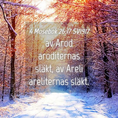 Picture 04 - 4 Mosebok 26:17 SV1917 - av Arod aroditernas släkt, av Areli areliternas - Bible Verse Picture
