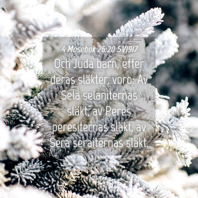 Picture 04 - 4 Mosebok 26:20 SV1917 - Och Juda barn, efter deras släkter, voro: Av - Bible Verse Picture