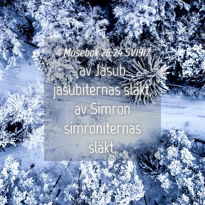 Picture 04 - 4 Mosebok 26:24 SV1917 - av Jasub jasubiternas släkt, av Simron - Bible Verse Picture