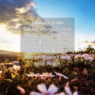 Picture 04 - 4 Mosebok 26:59 SV1917 - Och Amrams hustru hette Jokebed, Levis dotter, - Bible Verse Picture