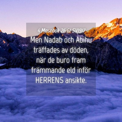Picture 04 - 4 Mosebok 26:61 SV1917 - Men Nadab och Abihu träffades av döden, när de - Bible Verse Picture