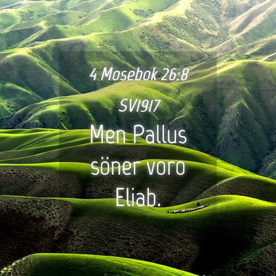 Picture 04 - 4 Mosebok 26:8 SV1917 - Men Pallus söner voro - Bible Verse Picture