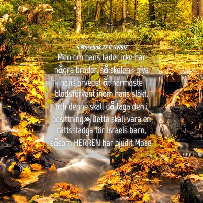 Picture 04 - 4 Mosebok 27:11 SV1917 - Men om hans fader icke har några broder, så - Bible Verse Picture
