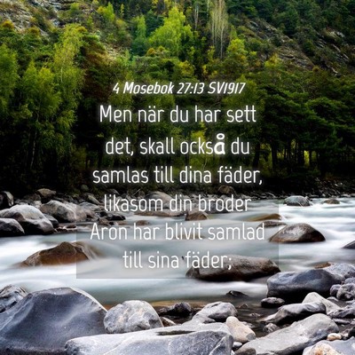 Picture 04 - 4 Mosebok 27:13 SV1917 - Men när du har sett det, skall också du samlas - Bible Verse Picture