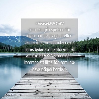 Picture 04 - 4 Mosebok 27:17 SV1917 - som kan gå i spetsen för dem, när de draga ut - Bible Verse Picture