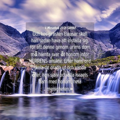 Picture 04 - 4 Mosebok 27:21 SV1917 - Och hos prästen Eleasar skall han sedan hava att - Bible Verse Picture