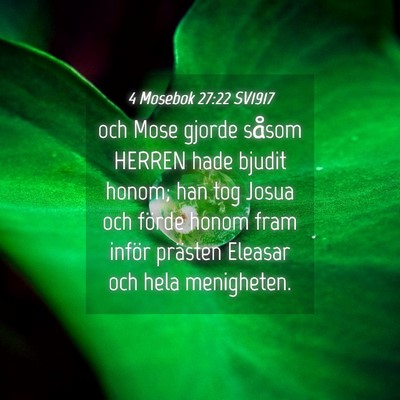 Picture 04 - 4 Mosebok 27:22 SV1917 - och Mose gjorde såsom HERREN hade bjudit honom; - Bible Verse Picture